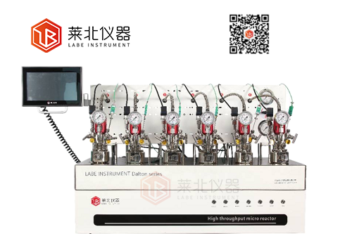 Dalton 6機械攪拌平行反應釜